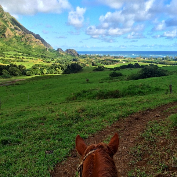 Meet your Posher, Constance - Picture 3 of 4
