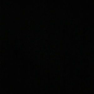 Meet your Posher, Dylan