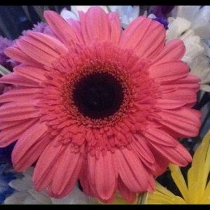 Meet your Posher, Cathy