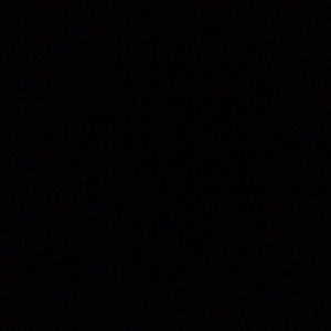 Meet your Posher, Starla