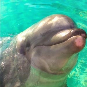 Meet your Posher, Brianna