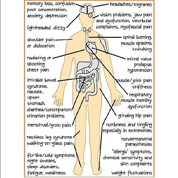 Lymie💚 - Picture 2 of 4