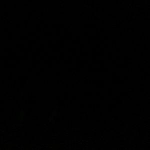 Meet your Posher, Irving