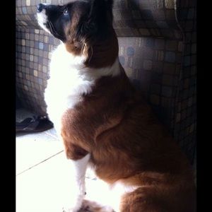 Meet your Posher, Ali