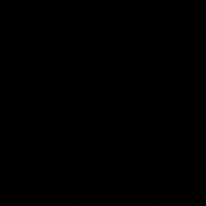 Meet your Posher, Bryan