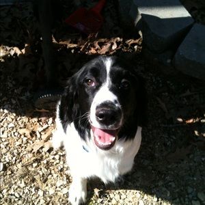 Meet your Posher, Paula