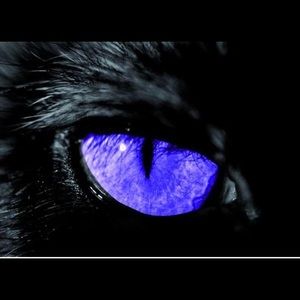 Meet your Posher, Miranda