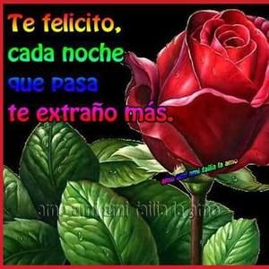 Meet your Posher, Saul