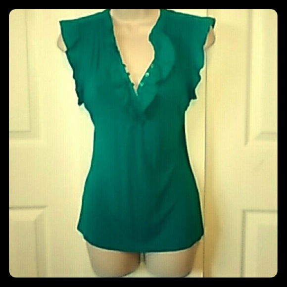 The Limited Blue/Green Top