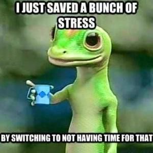 Meet your Posher, Leann