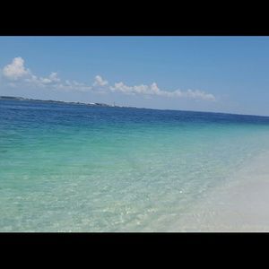 Meet your Posher, Casey