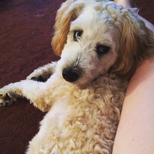 Meet your Posher, Mary