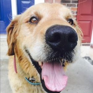 Meet your Posher, Monta