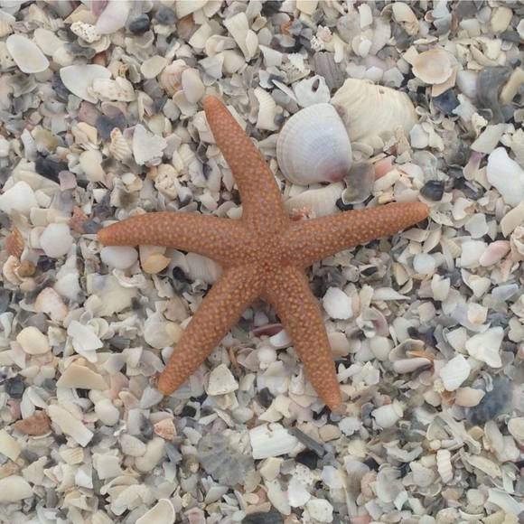 Meet your Posher, Judy