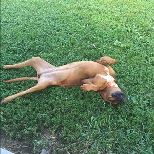 Meet your Posher, Jamie