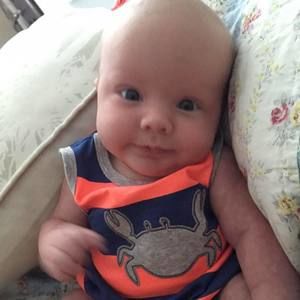 Meet your Posher, Ginarobin