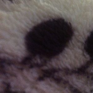 Meet your Posher, Irene