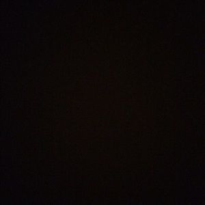 Meet your Posher, Chelby