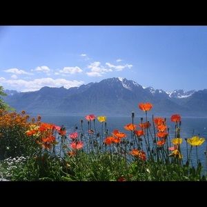 Meet your Posher, Cheryl