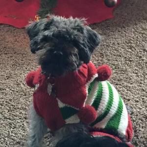 Meet your Posher, Jager