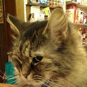 Meet your Posher, Carol