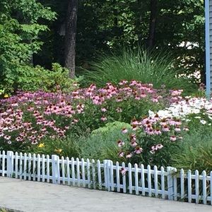 Meet your Posher, Joan