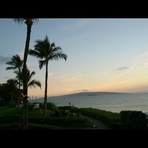 Meet your Posher, Carlene