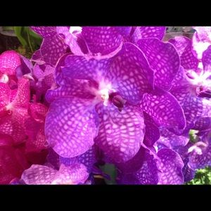 Meet your Posher, Karin