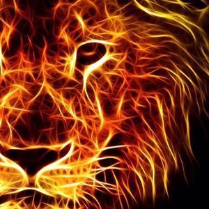 Meet your Posher, Jack