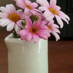 Meet your Posher, Joan