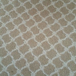 Meet your Posher, Ilka