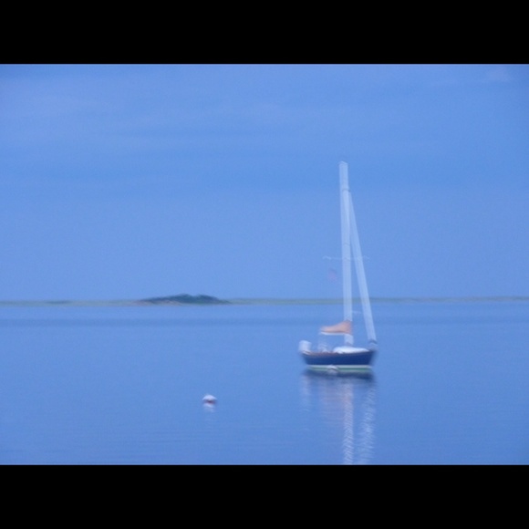 Meet your Posher, Paula - Picture 1 of 1