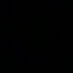 Meet your Posher, Iris