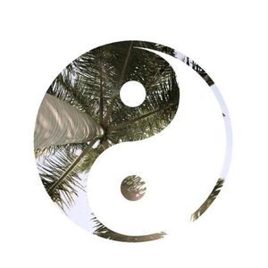 Meet your Posher, Ariel