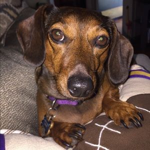 Meet your Posher, Haley