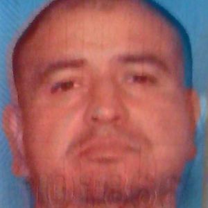 Meet your Posher, Jerry