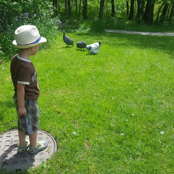 Meet your Posher, Olena - Picture 2 of 3