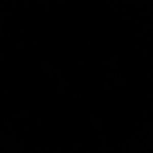 Meet your Posher, Clinton