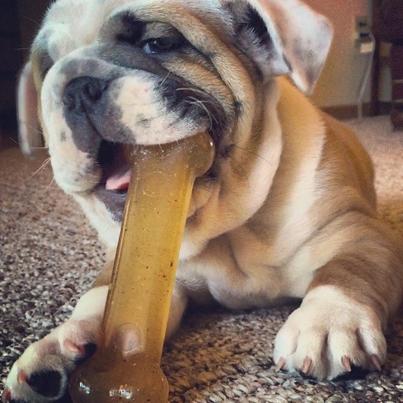 Meet your Posher, Jeneva - Picture 3 of 4