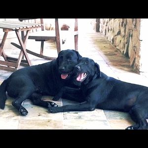 Meet your Posher, Julie