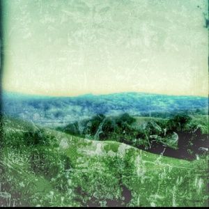 Meet your Posher, Shirin