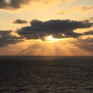 Meet your Posher, Pam