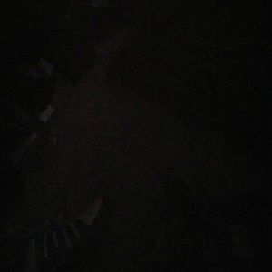 Meet your Posher, Terri