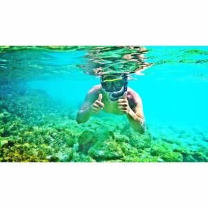 Meet your Posher, George