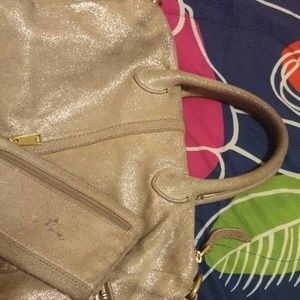 Fossil silver purse