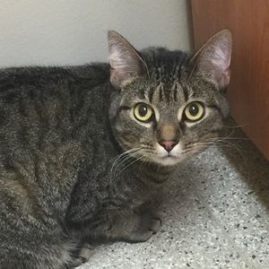 Meet your Posher, Aranza