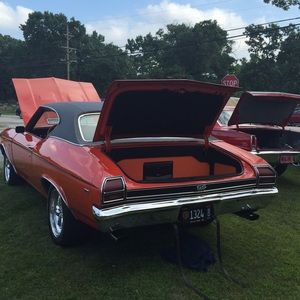 Meet your Posher, Freddie