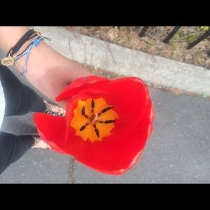 Meet your Posher, Asia