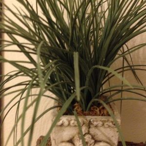 Meet your Posher, Marci