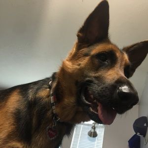 Meet your Posher, Alexander